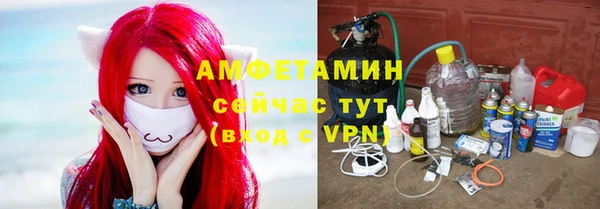 гашик Белокуриха