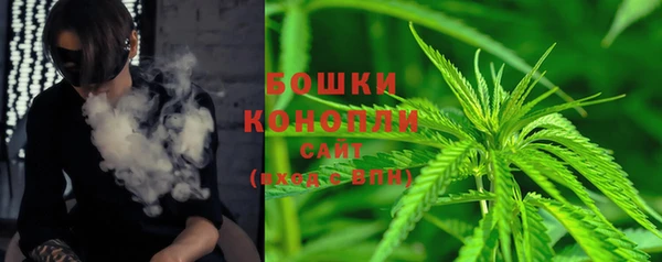 гашик Белокуриха