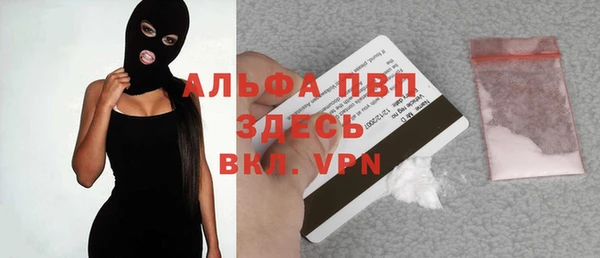 крисы Белоозёрский