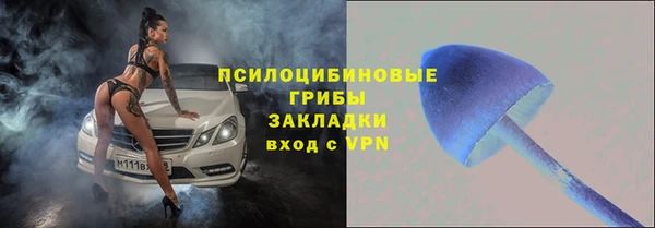 гашик Белокуриха