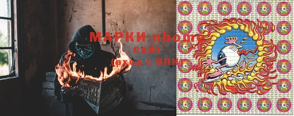 гашик Белокуриха